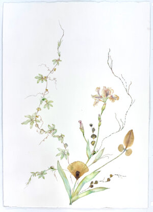 Photo of Iris, Poppy and Lily 2026 artwork