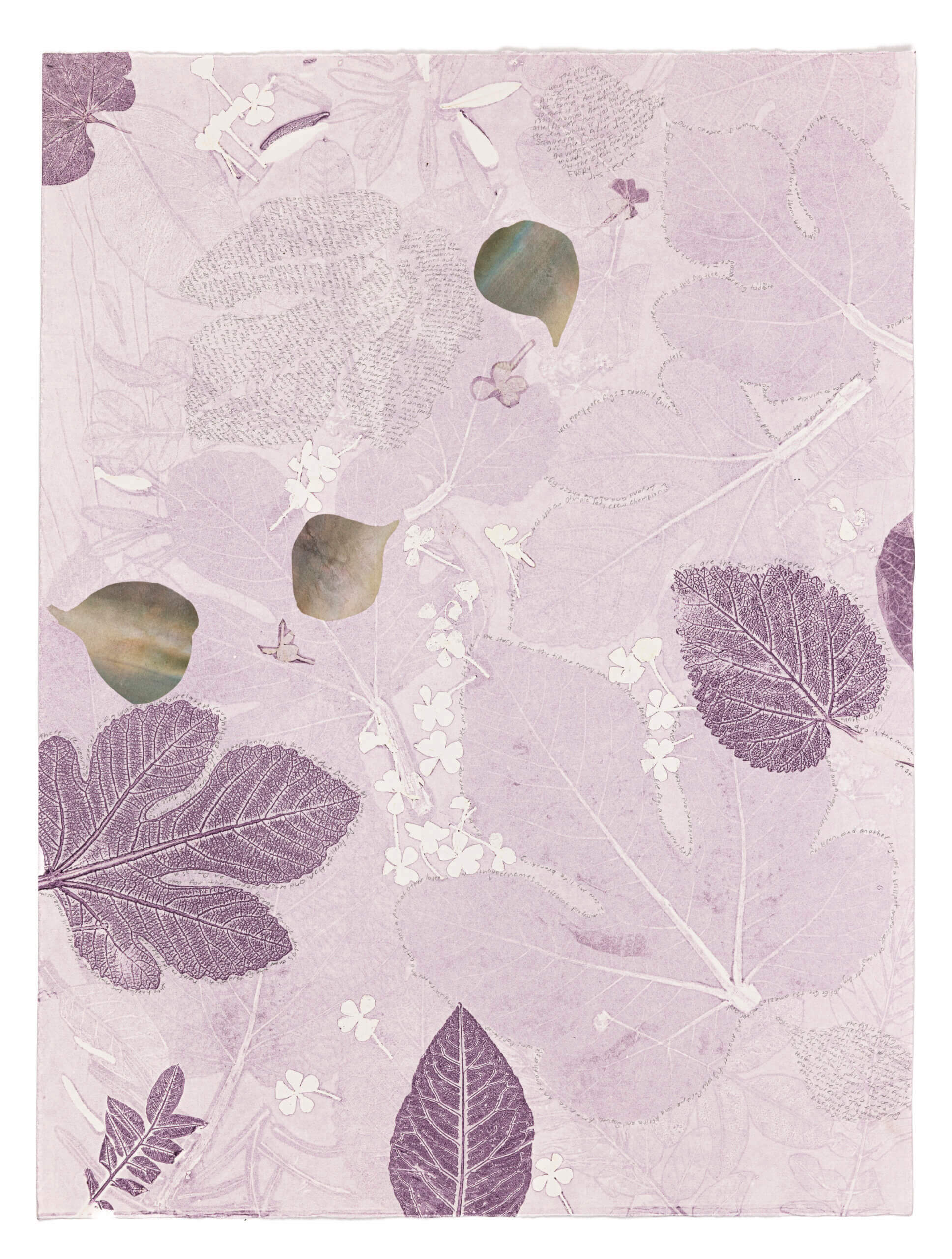 Image of Ode to the Fig