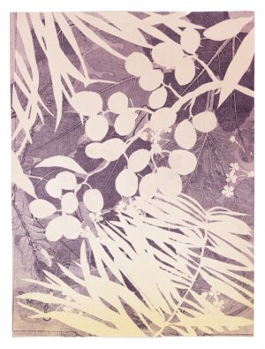 Photo of Skopelos Plums artwork