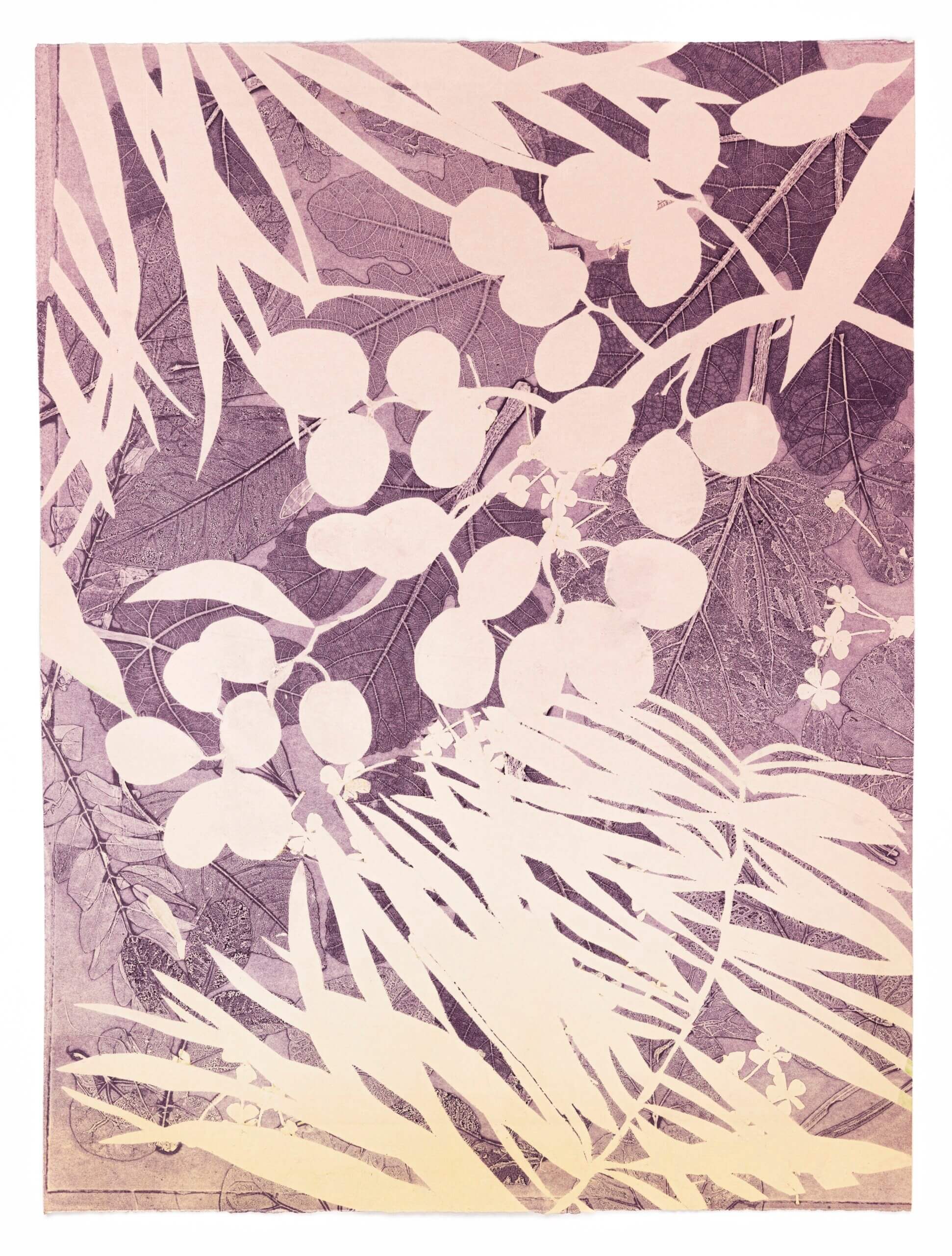 Image of Skopelos Plums