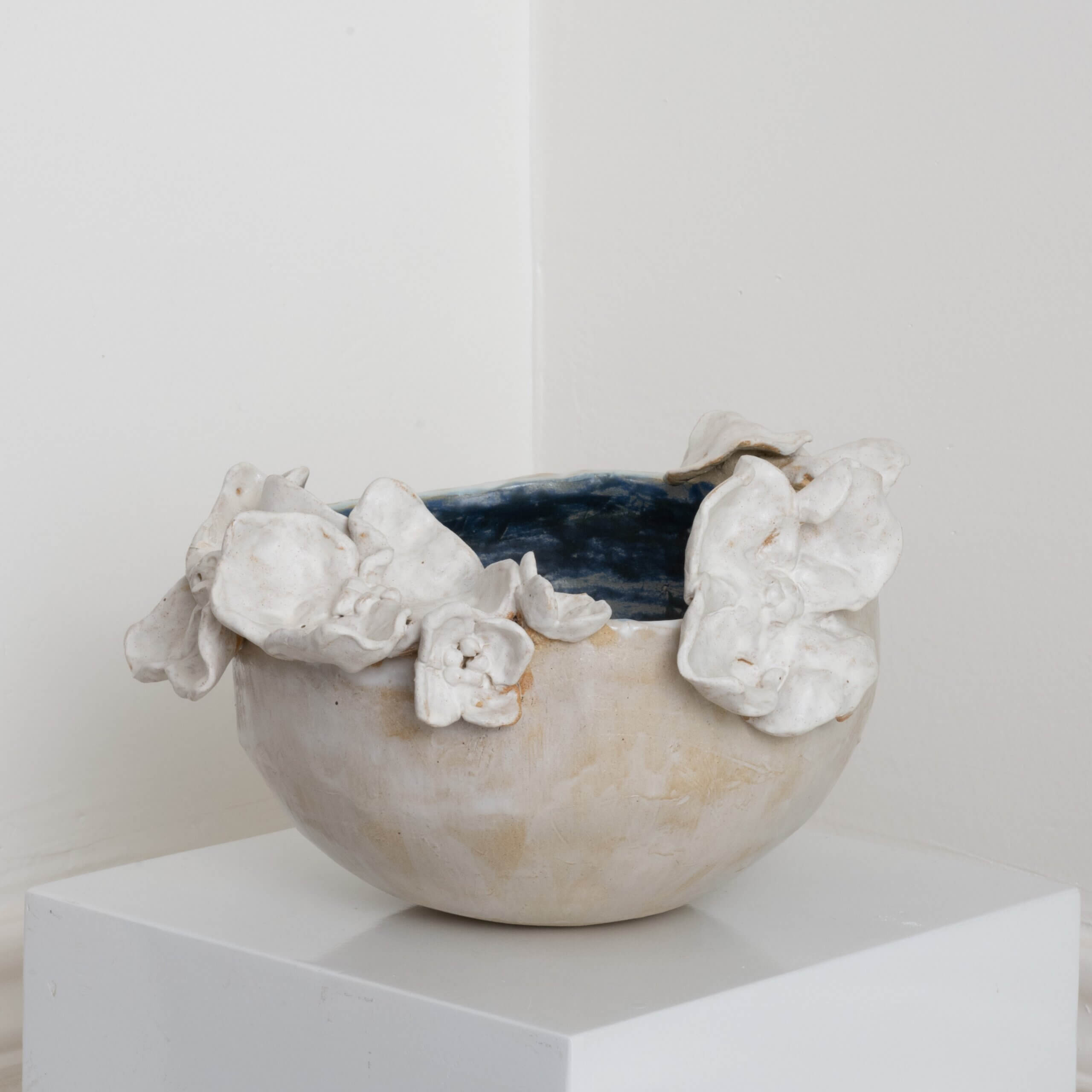 Image of Midnight and Blooms