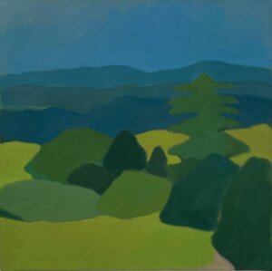 Photo of Acorn Country artwork