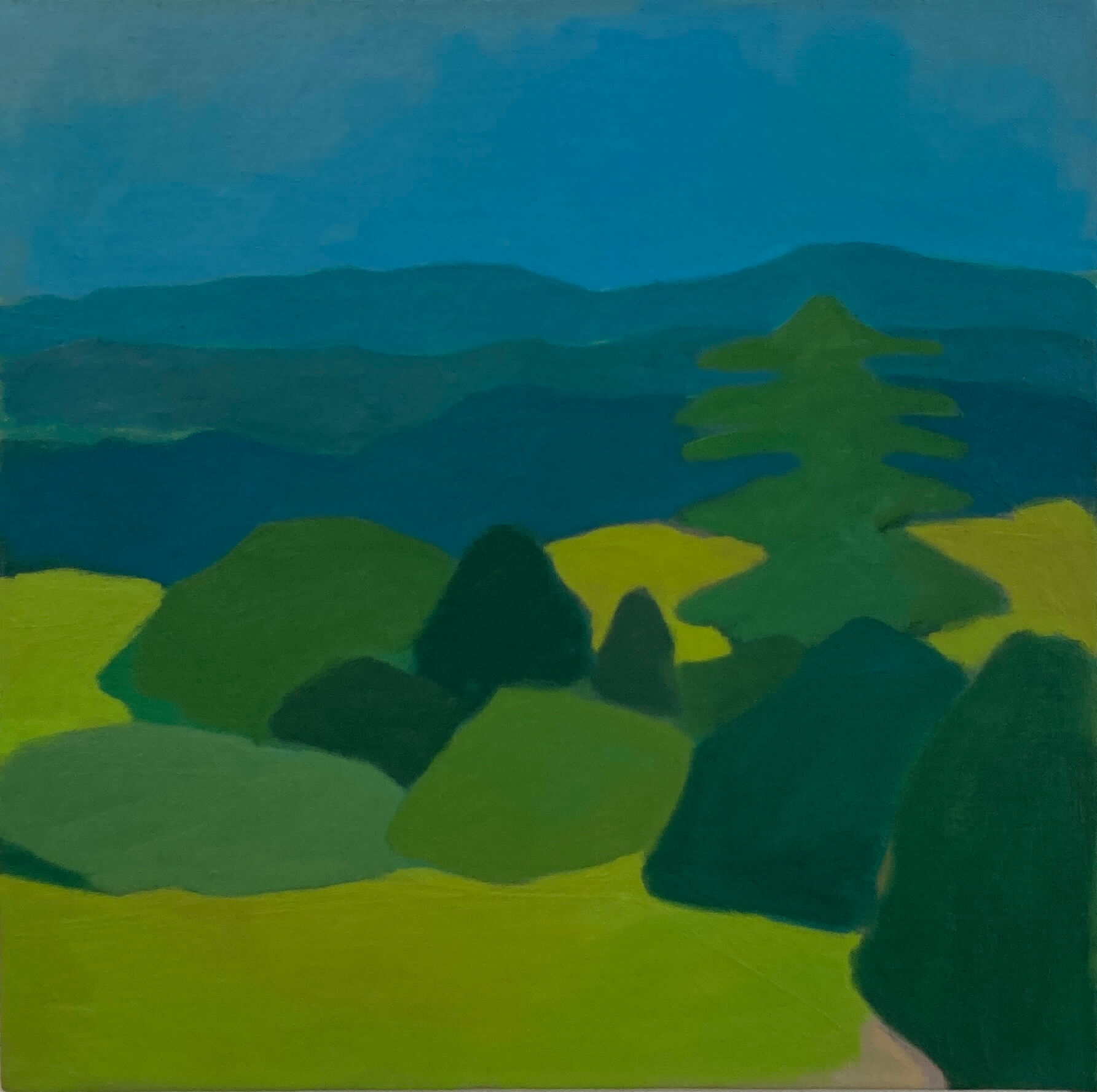 Image of Acorn Country