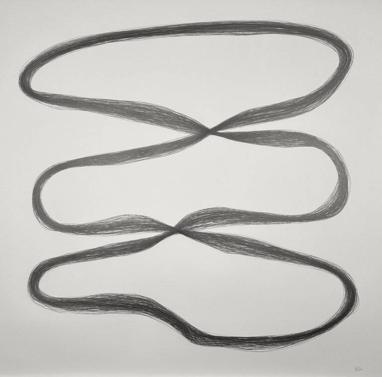 an abstract graphite on paper piece. dark marks that appear to look like hair or thread formed in two combined irregular figure eights.
