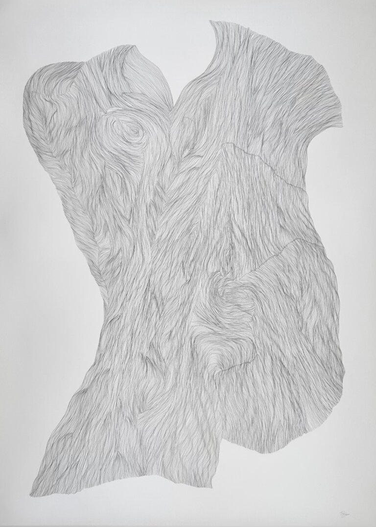 an abstract graphit on paper piece. the drawing looks like a man's vest, the marks are incoherent lines and swirls.