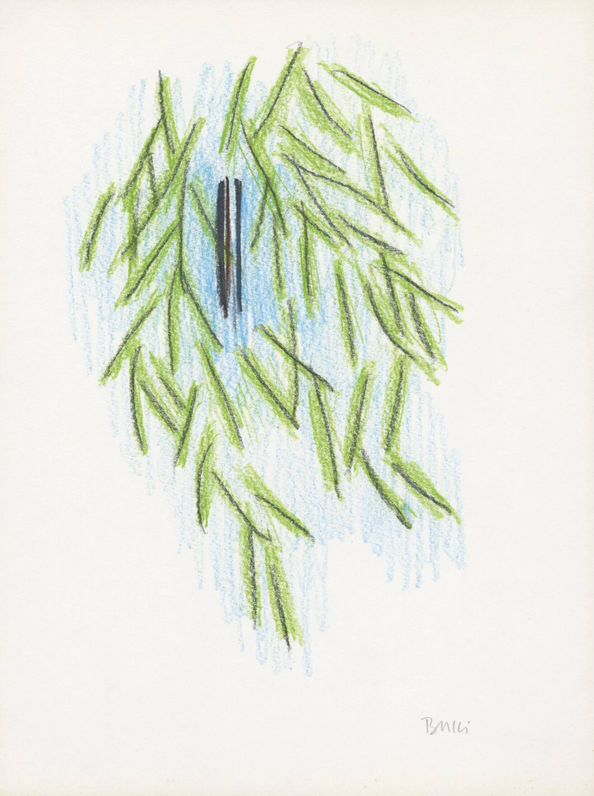 Image of Untitled (D324) Tree, leaves 6/24/70