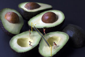 Image link Avocado Volleyball