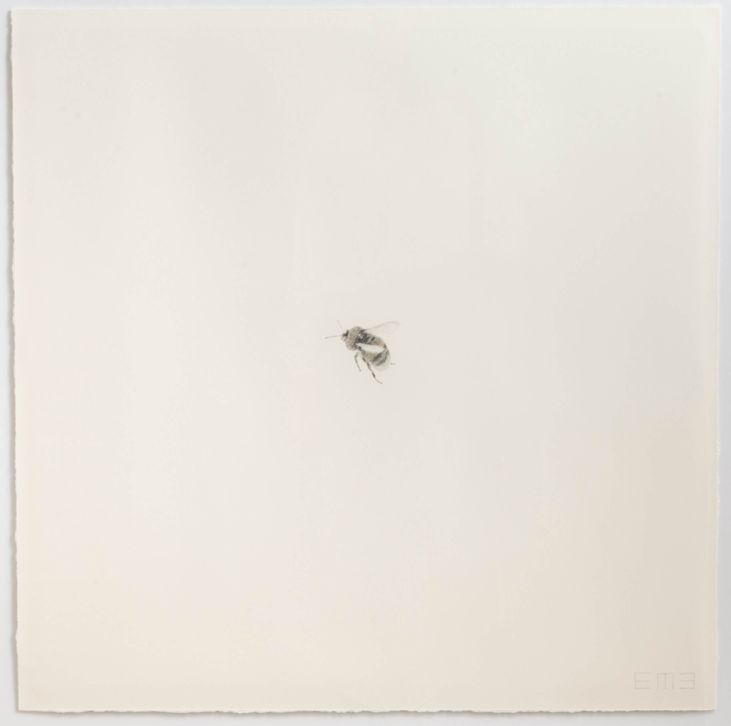 Image of Bee VI