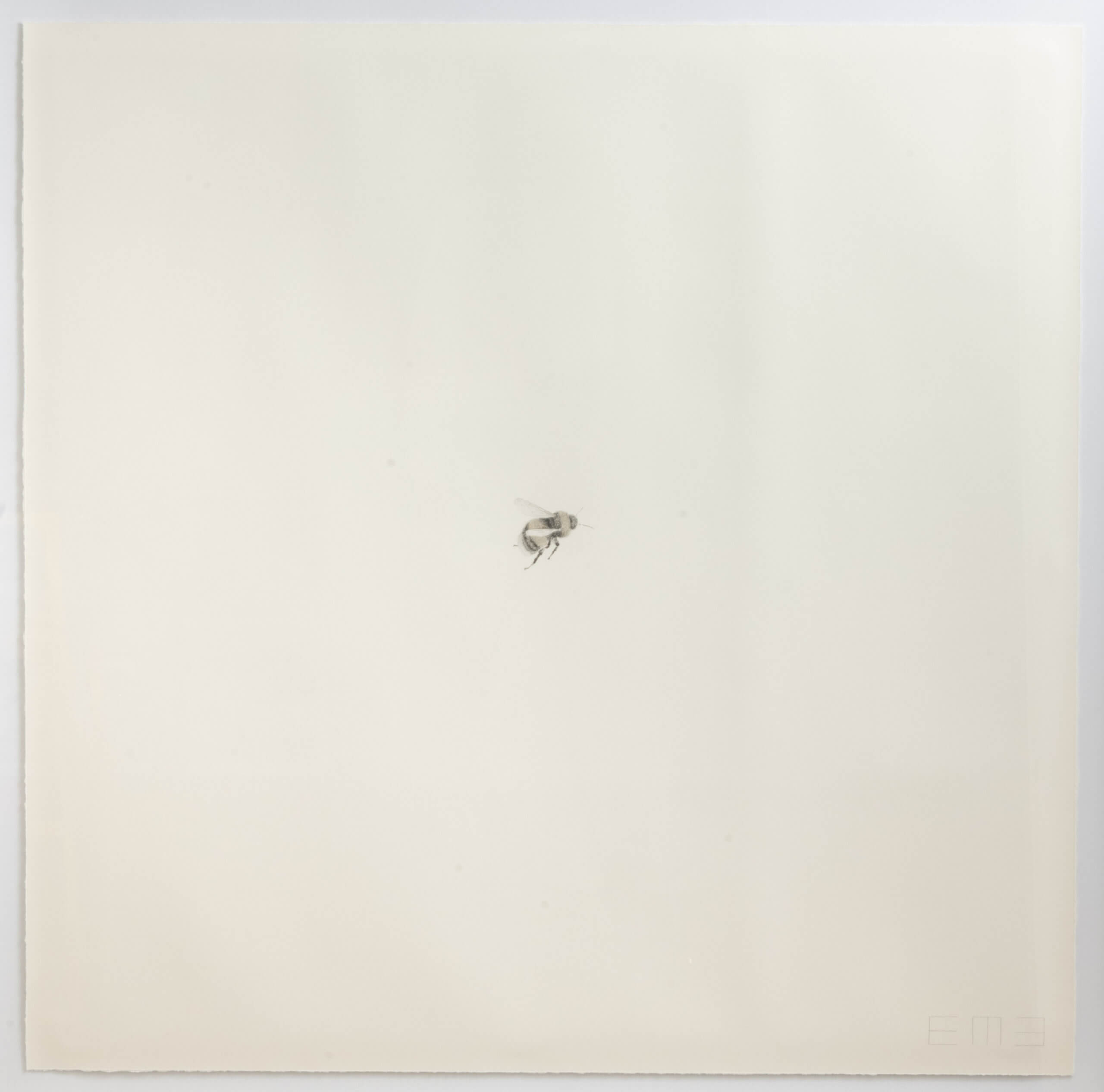 Image of Bee VIII