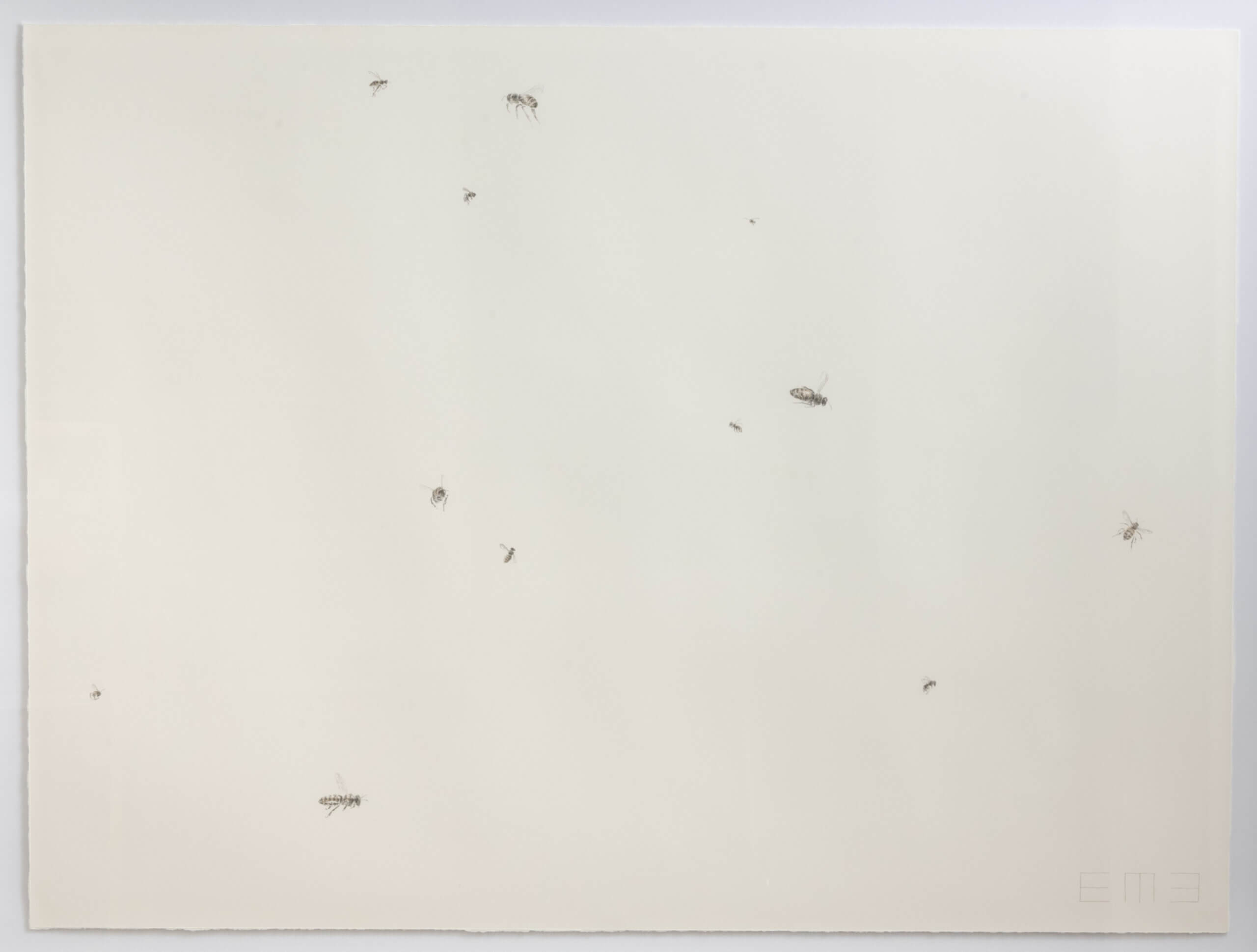Image of Swarm IV