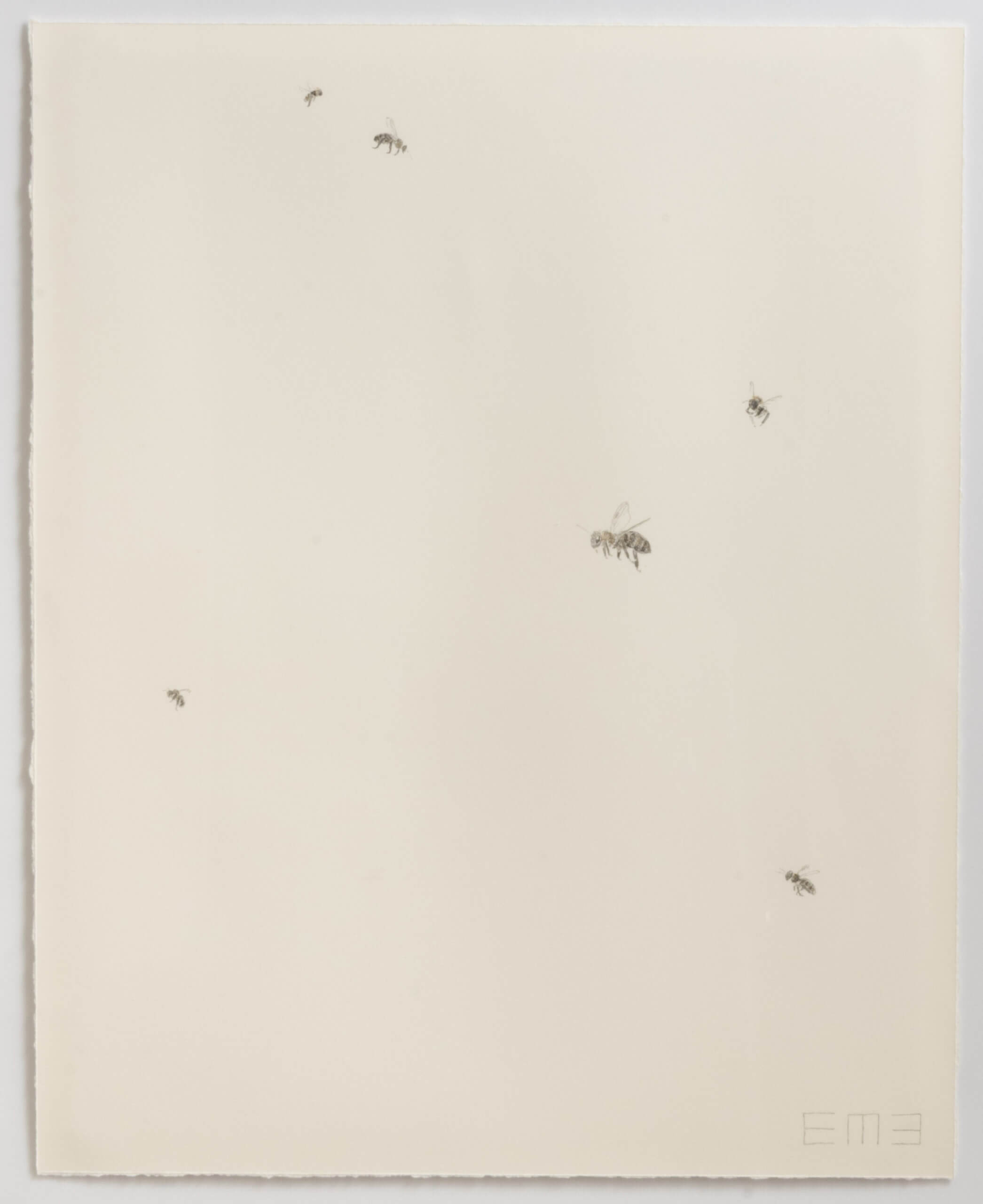 Image of Swarm X