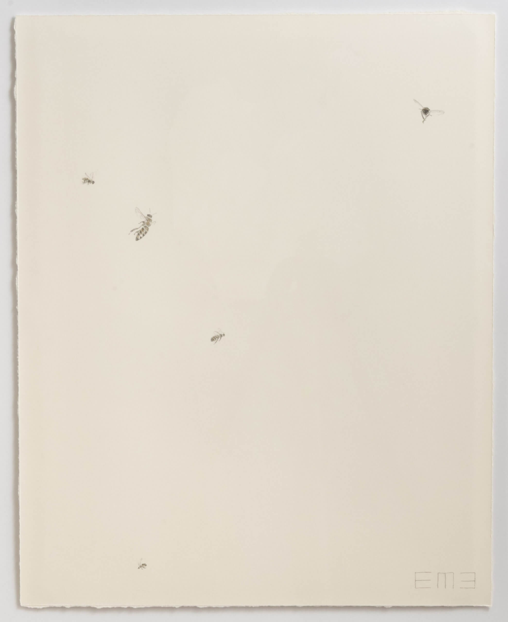 Image of Swarm XI