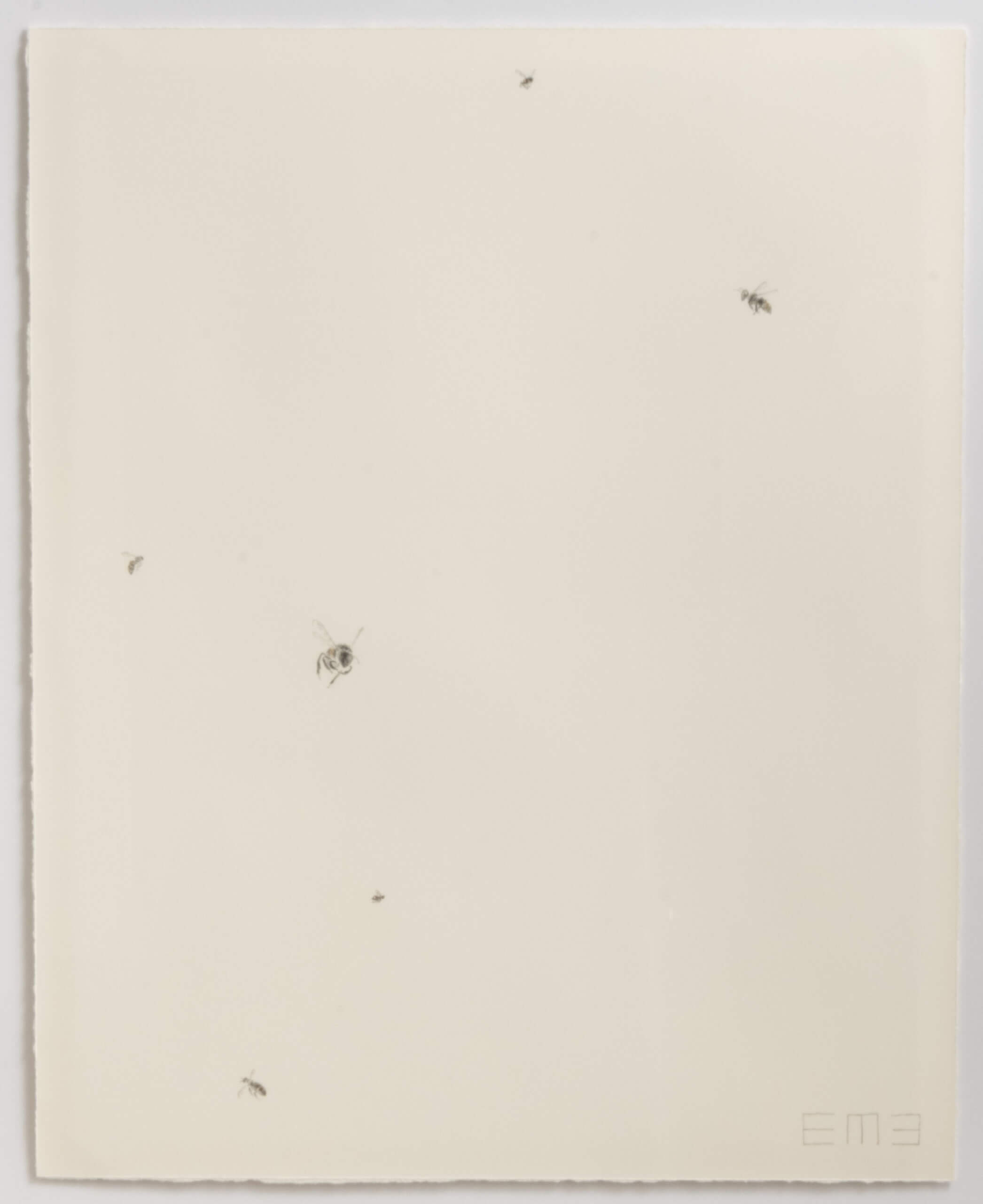 Image of Swarm XII