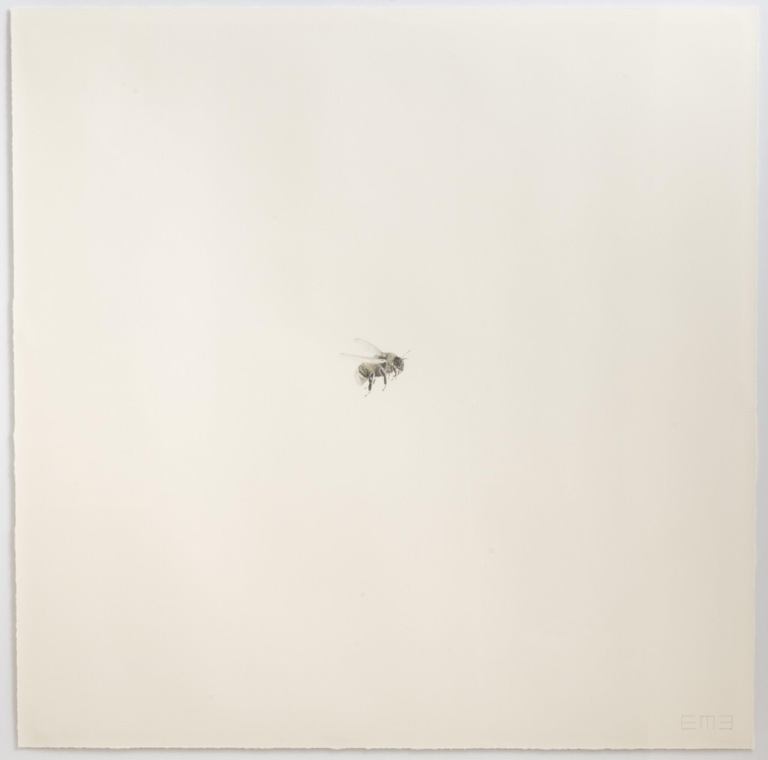 Image of Bee VII