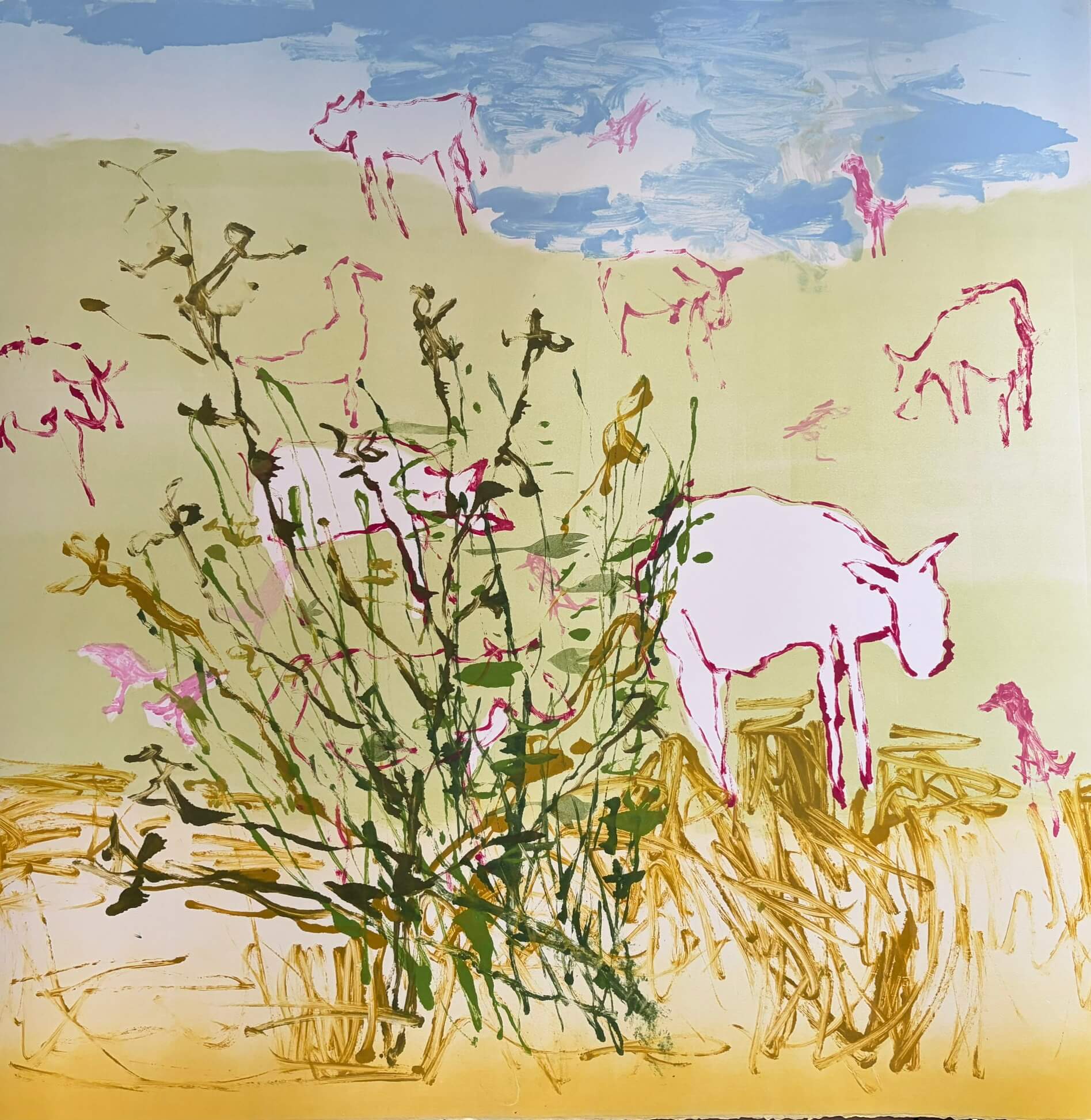 Image of Field of Cows
