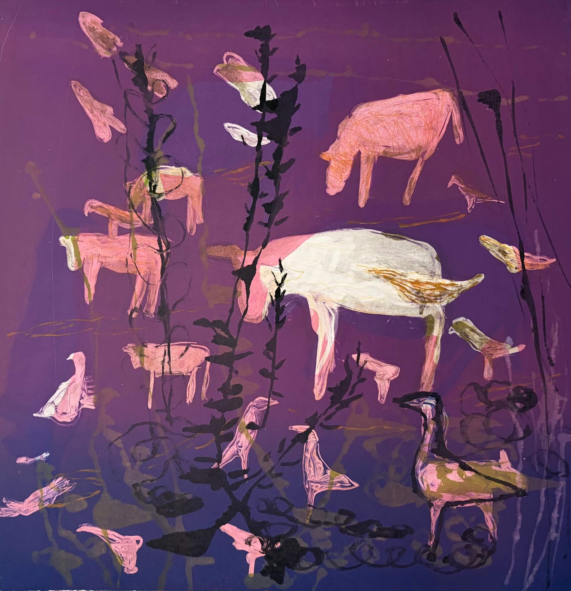 Image of Purple Field / Cows and Egrets