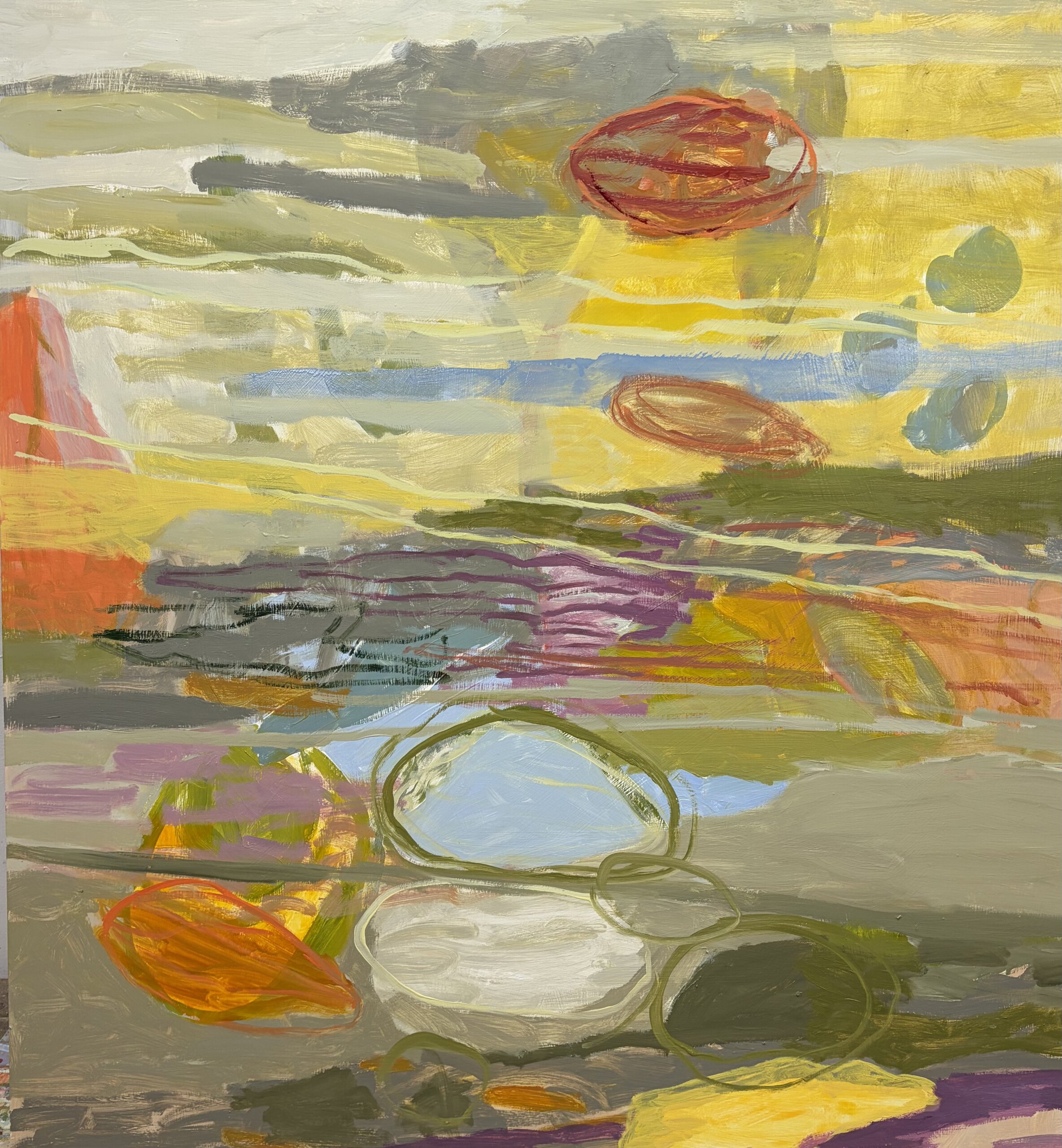 Image of Shells on the Shore