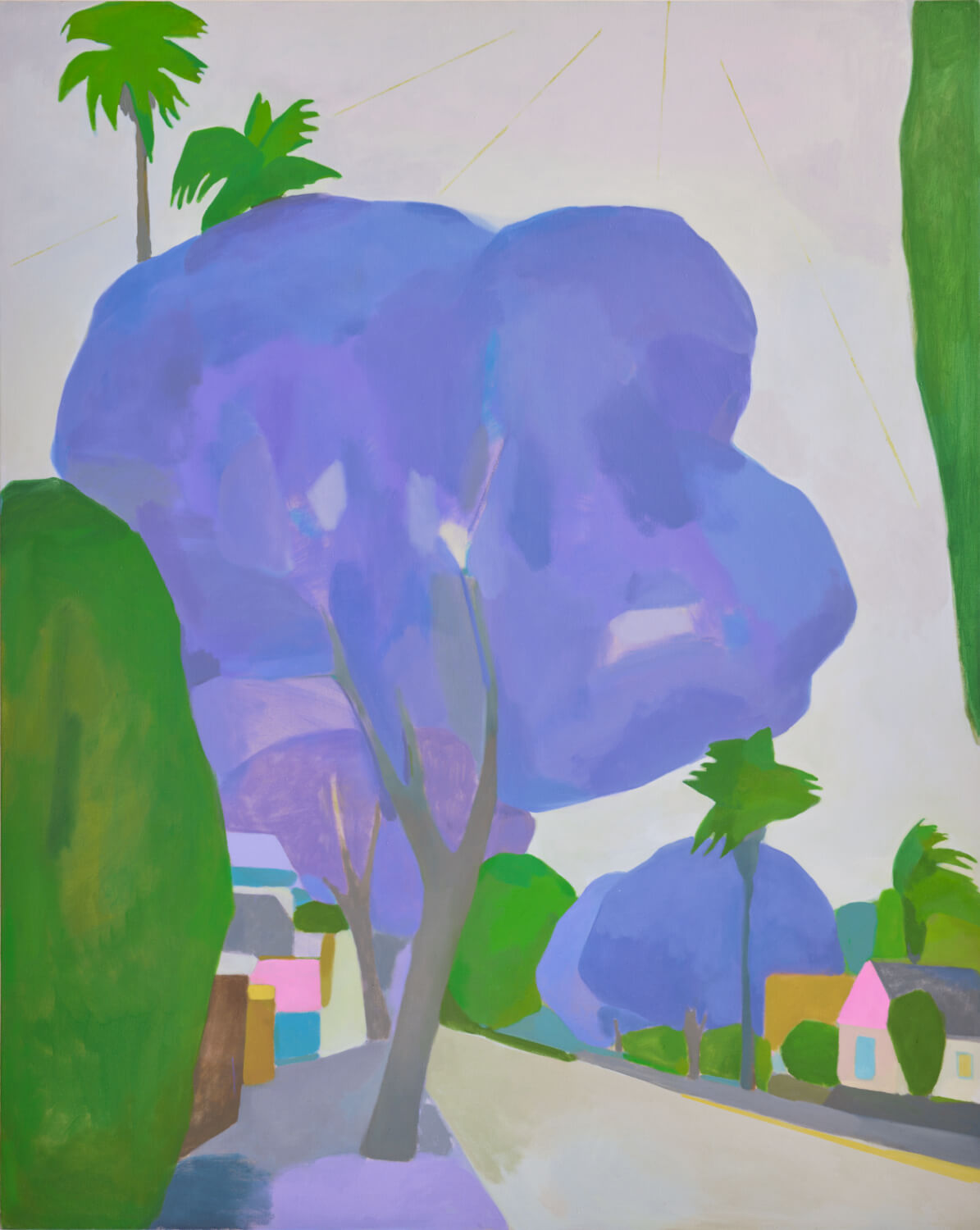 Image of Jacaranda 2026