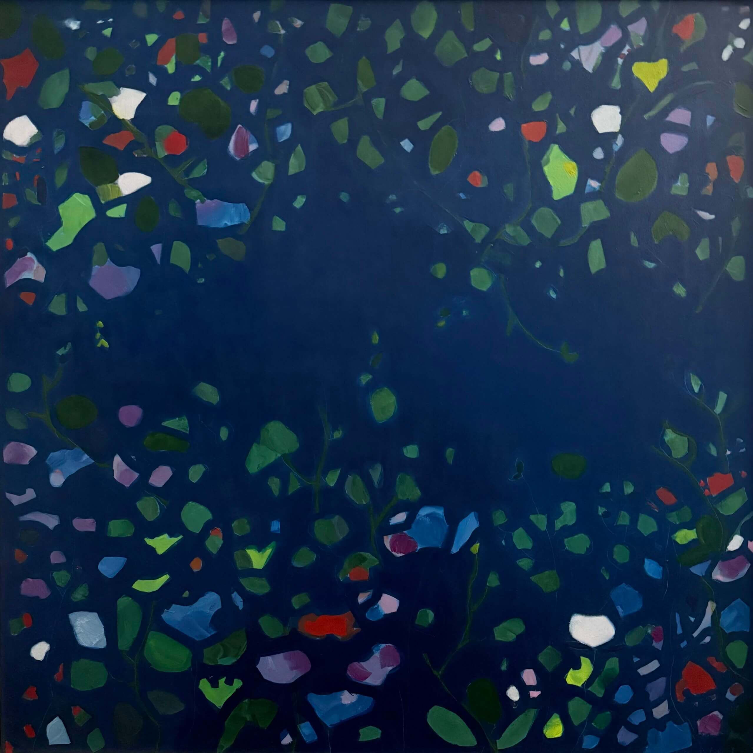 Image of Every Star is Lucky